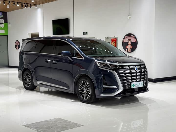 Фото 3 - Denza D9