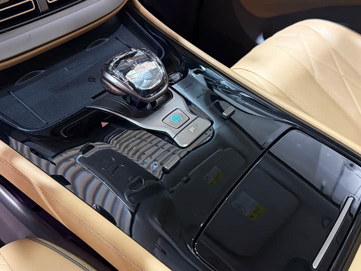 Фото 9 - Denza D9