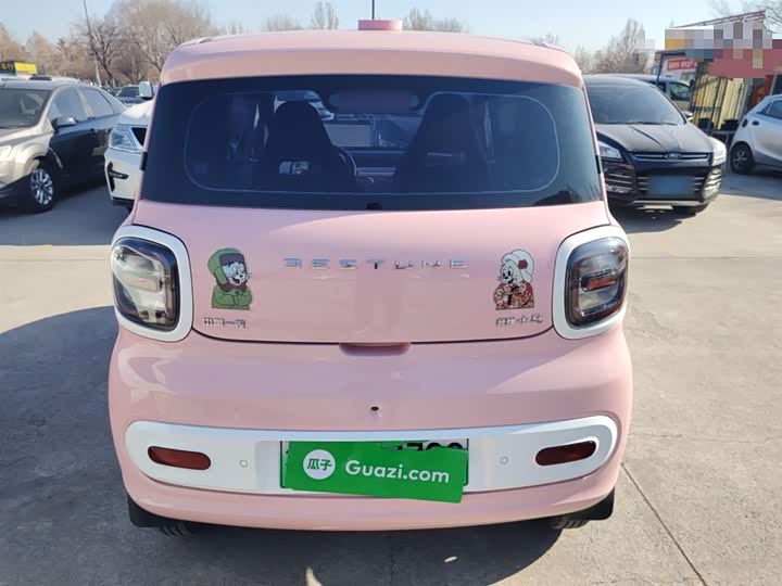 Фото 6 - Bestune Pony