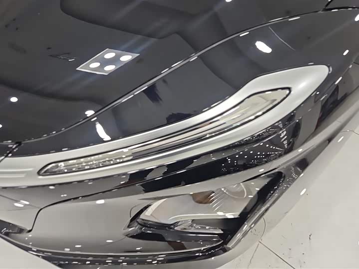 Фото 5 - Hongqi E-QM5