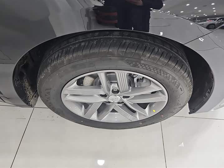 Фото 6 - Hongqi E-QM5