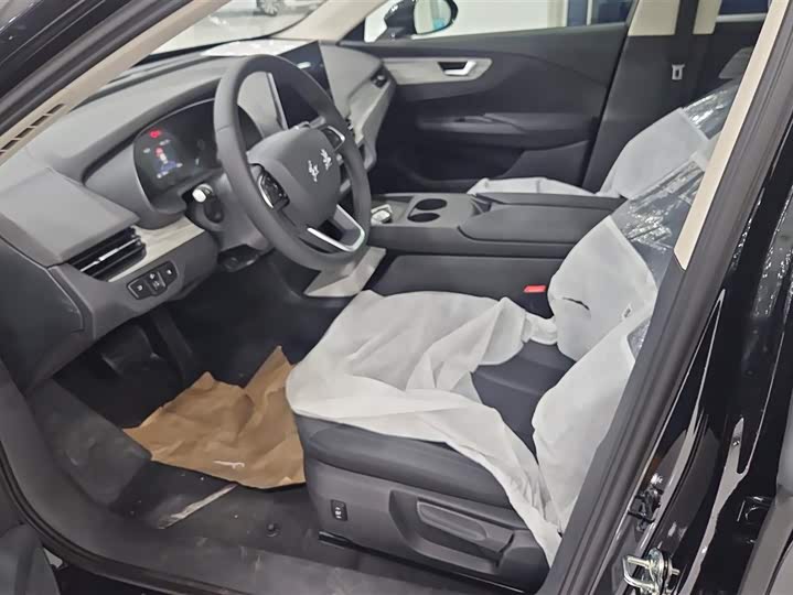 Фото 9 - Hongqi E-QM5