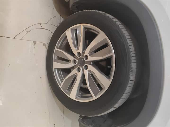 Фото 6 - Geely Okavango