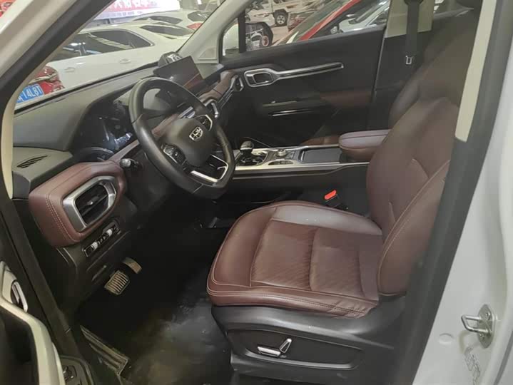 Фото 9 - Geely Okavango