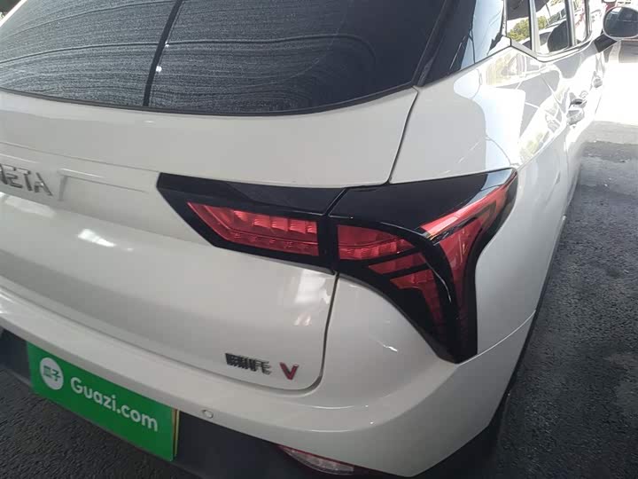 Фото 8 - Hozon V