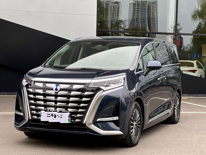 Фото 1 - Denza D9