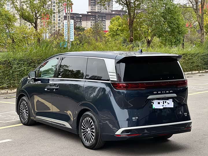 Фото 2 - Denza D9