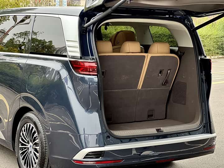 Фото 8 - Denza D9