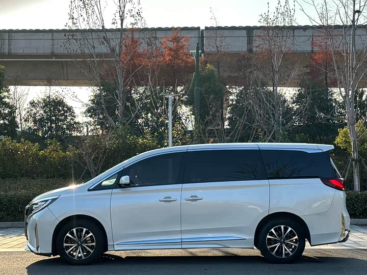 Фото 7 - GAC Trumpchi M8