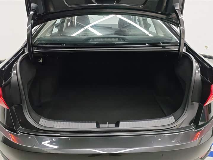 Фото 4 - Volkswagen Sagitar L