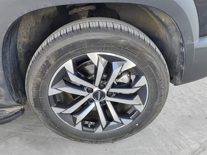 Фото 6 - Haval Dargo