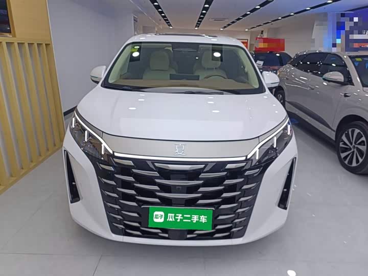 Фото 3 - BYD Xia