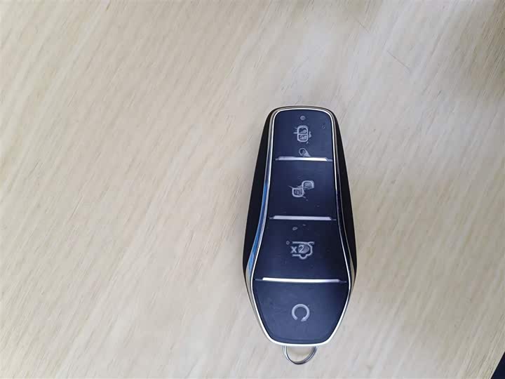 Фото 9 - BYD Xia