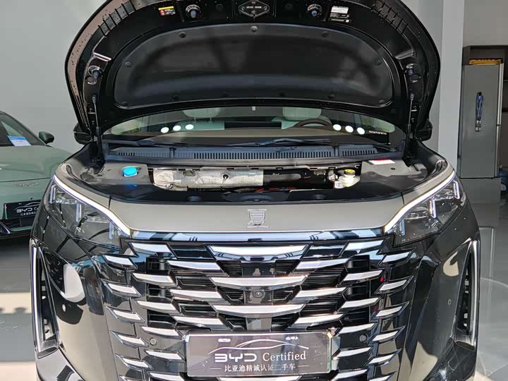 Фото 2 - BYD Xia