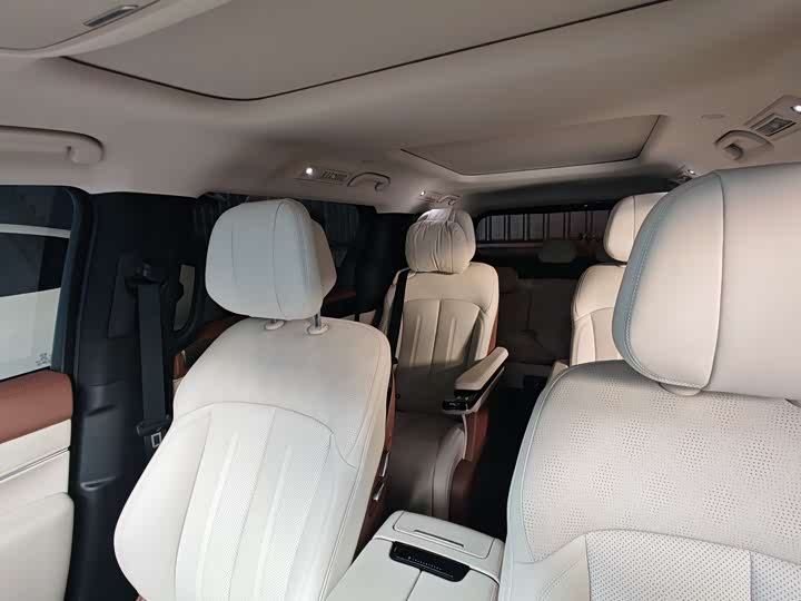 Фото 4 - BYD Xia