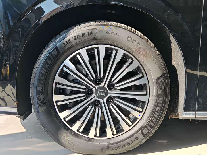 Фото 6 - BYD Xia