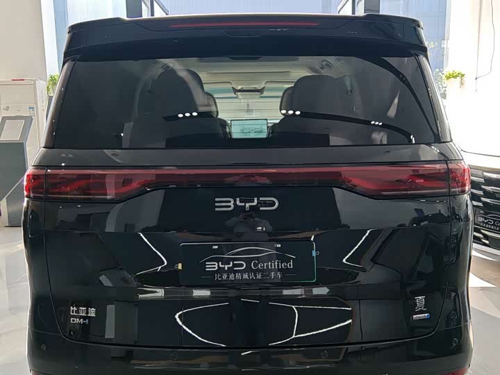 Фото 9 - BYD Xia