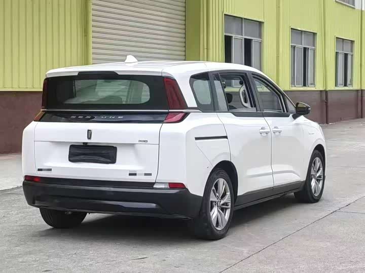 Фото 2 - Bestune NAT