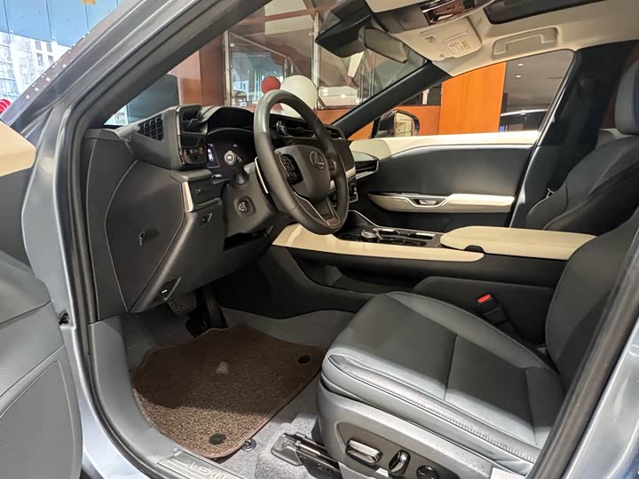 Фото 6 - Lexus RZ