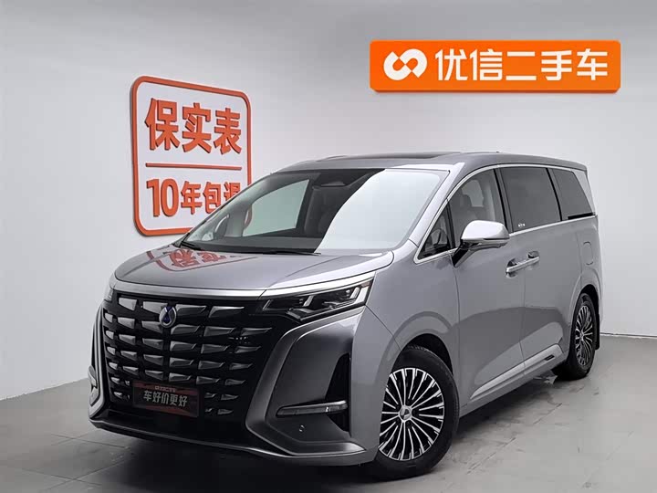 Фото 1 - Denza D9