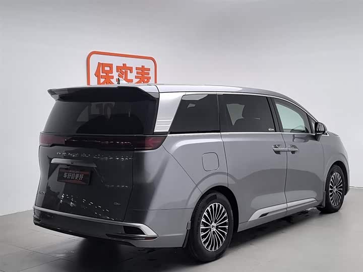 Фото 2 - Denza D9