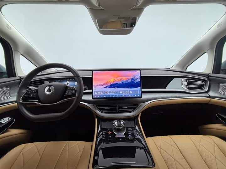 Фото 5 - Denza D9