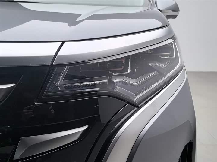 Фото 7 - Denza D9