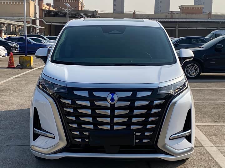 Фото 2 - Denza D9