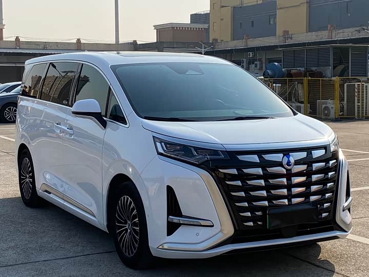 Фото 3 - Denza D9