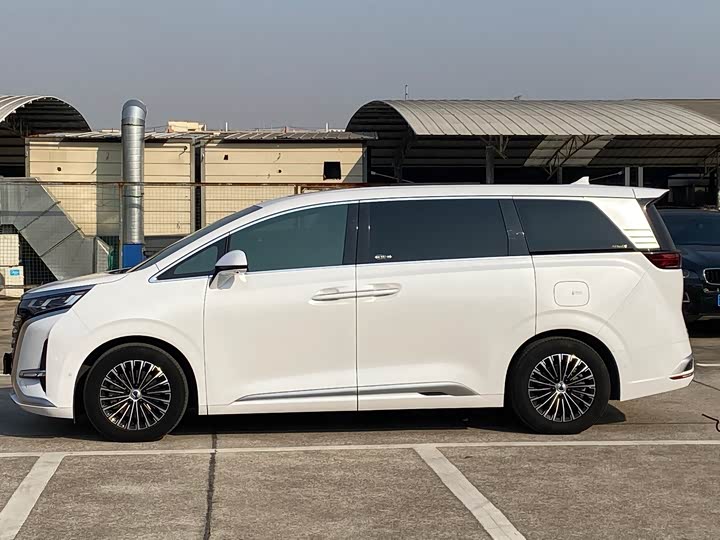 Фото 4 - Denza D9