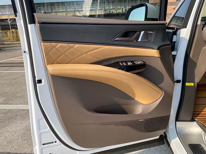 Фото 8 - Denza D9