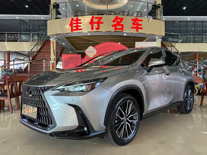 Фото 1 - Lexus NX