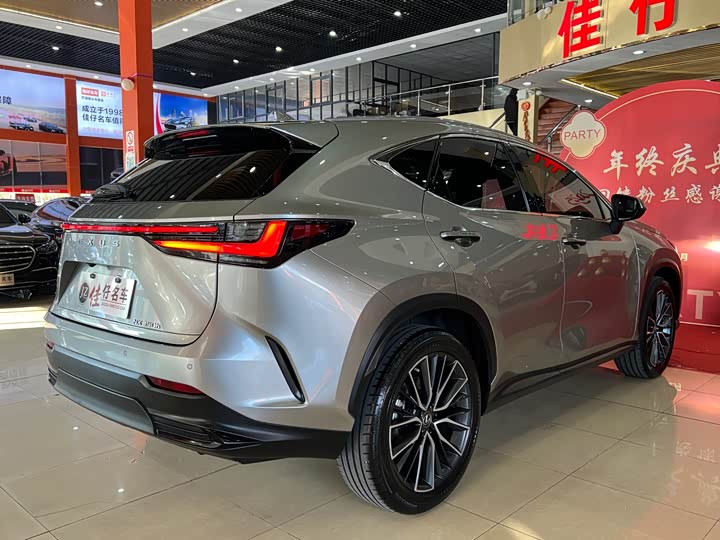 Фото 5 - Lexus NX