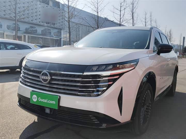 Фото 1 - Nissan Pathfinder