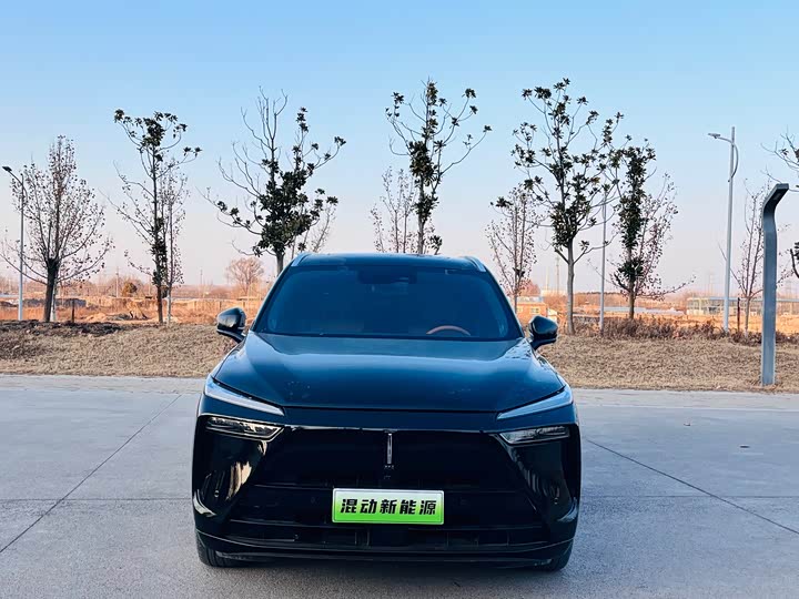 Фото 1 - Wey Lanshan