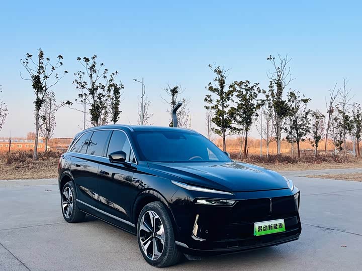 Фото 3 - Wey Lanshan