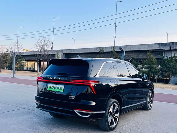 Фото 9 - Wey Lanshan