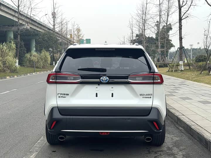 Фото 8 - Toyota Wildlander