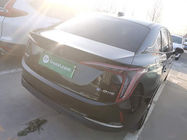 Фото 7 - Hongqi E-QM5