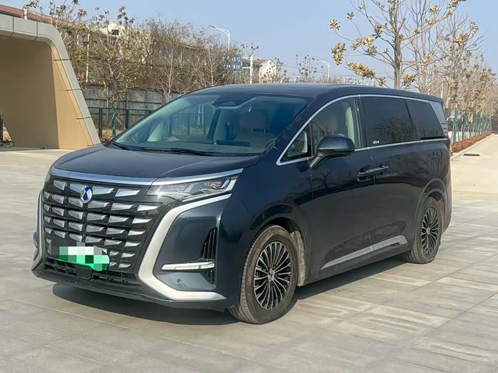 Фото 1 - Denza D9