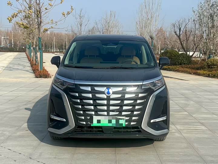 Фото 2 - Denza D9