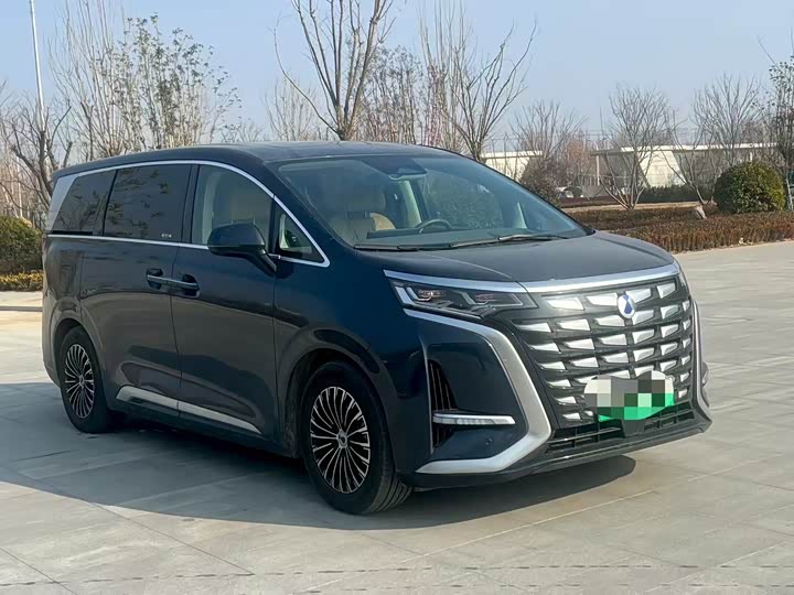 Фото 3 - Denza D9