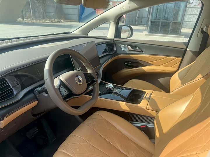 Фото 5 - Denza D9