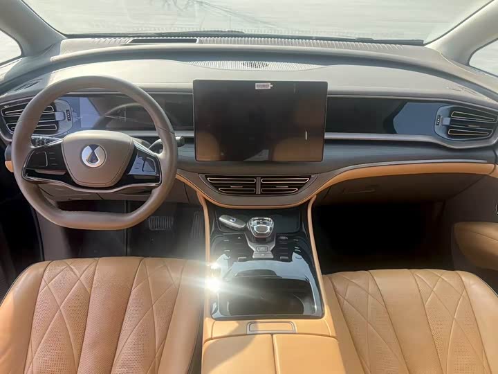 Фото 6 - Denza D9