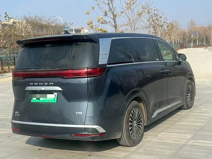 Фото 7 - Denza D9