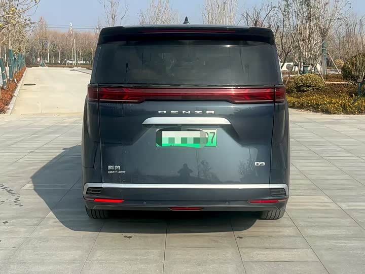 Фото 8 - Denza D9