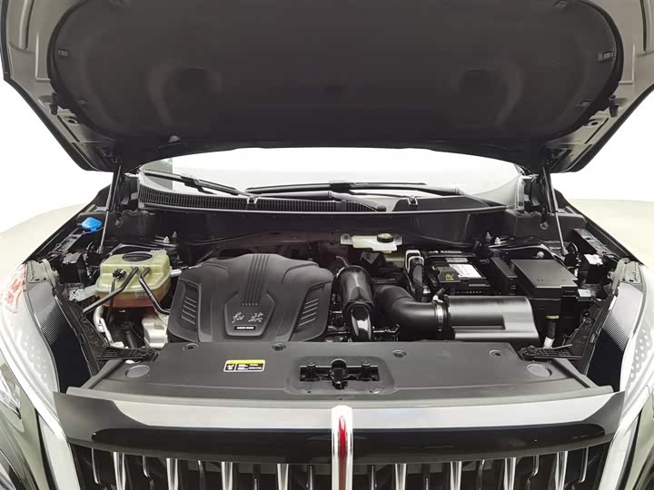 Фото 6 - Hongqi HS3