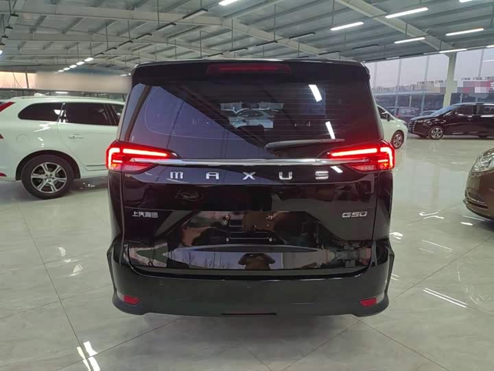 Фото 6 - Maxus G50