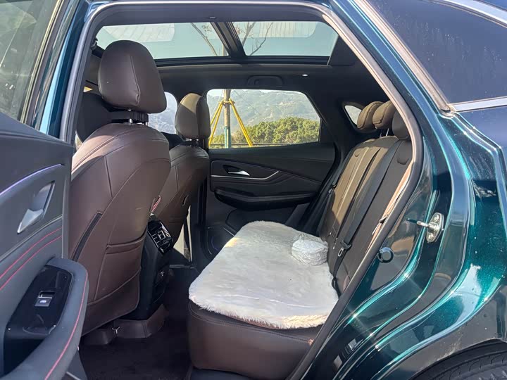 Фото 5 - Dongfeng Forthing T5 EVO