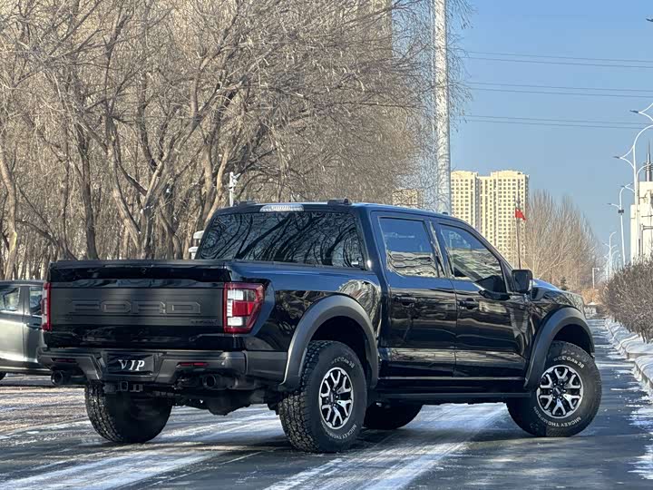 Фото 6 - Ford F-150 Raptor
